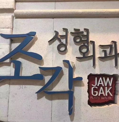 韩国雕刻整形医院标志